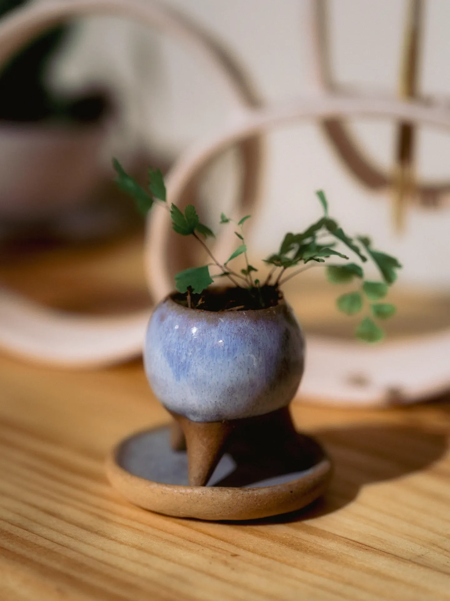 三腳豆盆｜體驗課展示照片 2