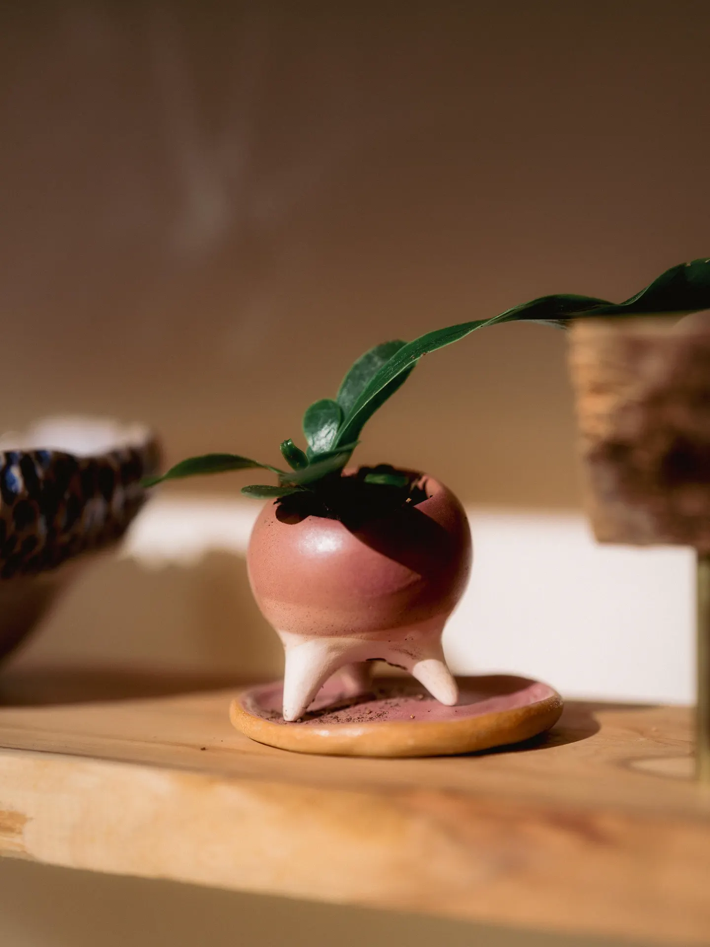 三腳豆盆｜體驗課展示照片 3